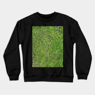 Green Moss Nature Forest Crewneck Sweatshirt